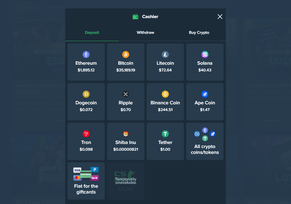 Payment Methods on Duelbits