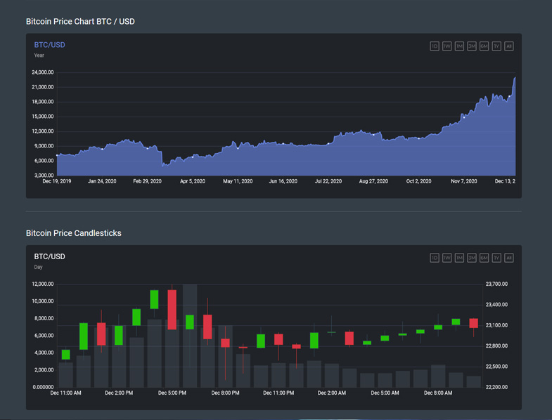 Bitcoin Price