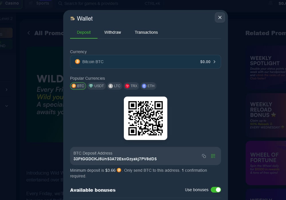 Wild.io Payment Methods