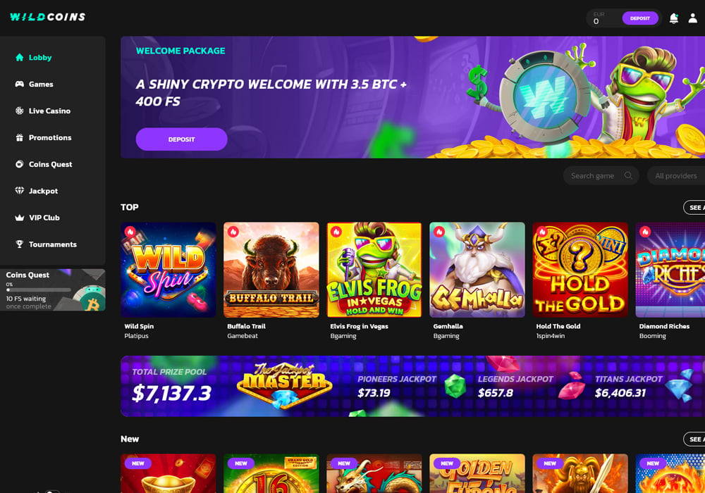 Wild Coins Homepage