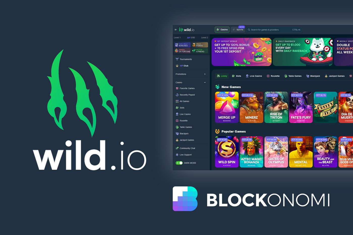 Wild.io Casino Review